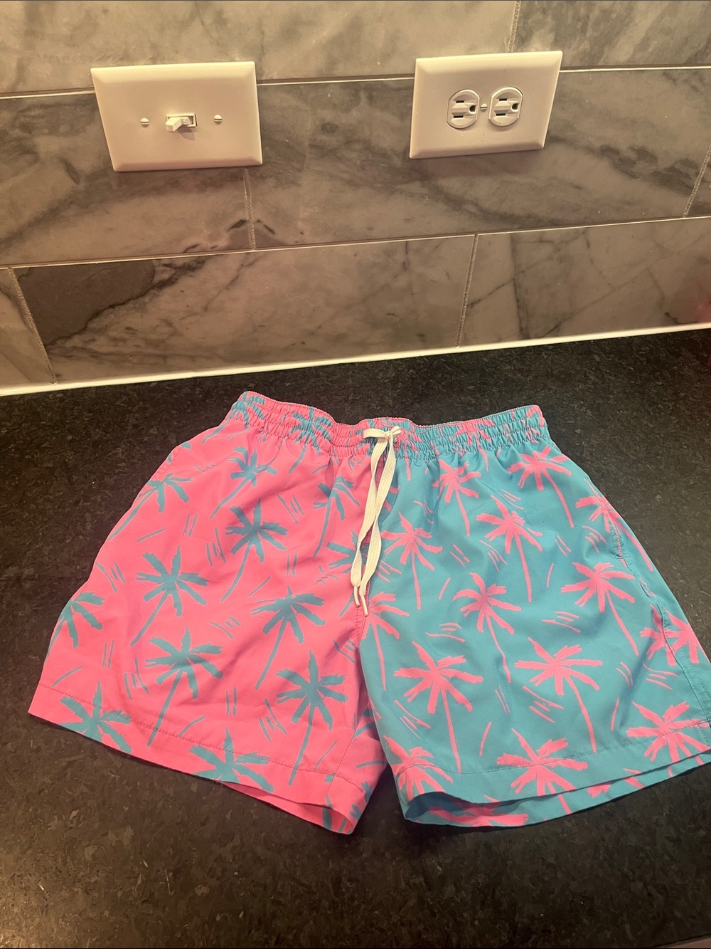 Men’s Chubbies Shorts
